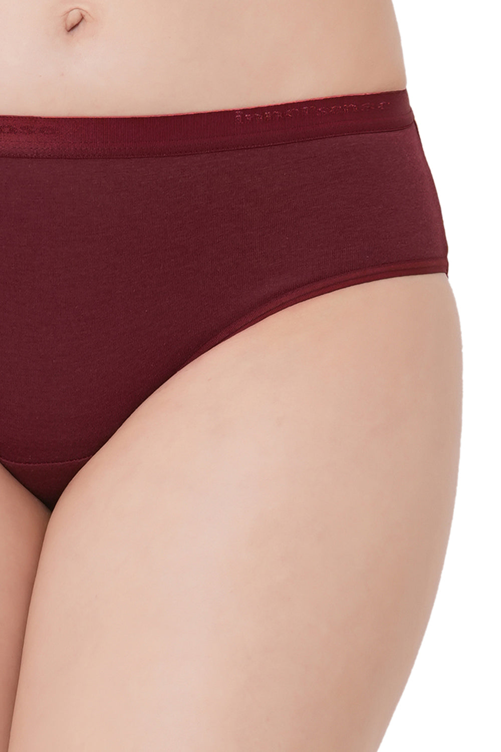 Organic Cotton Antimicrobial High waist Hipster-ISP002-Dark Sienna_Persian Plum-