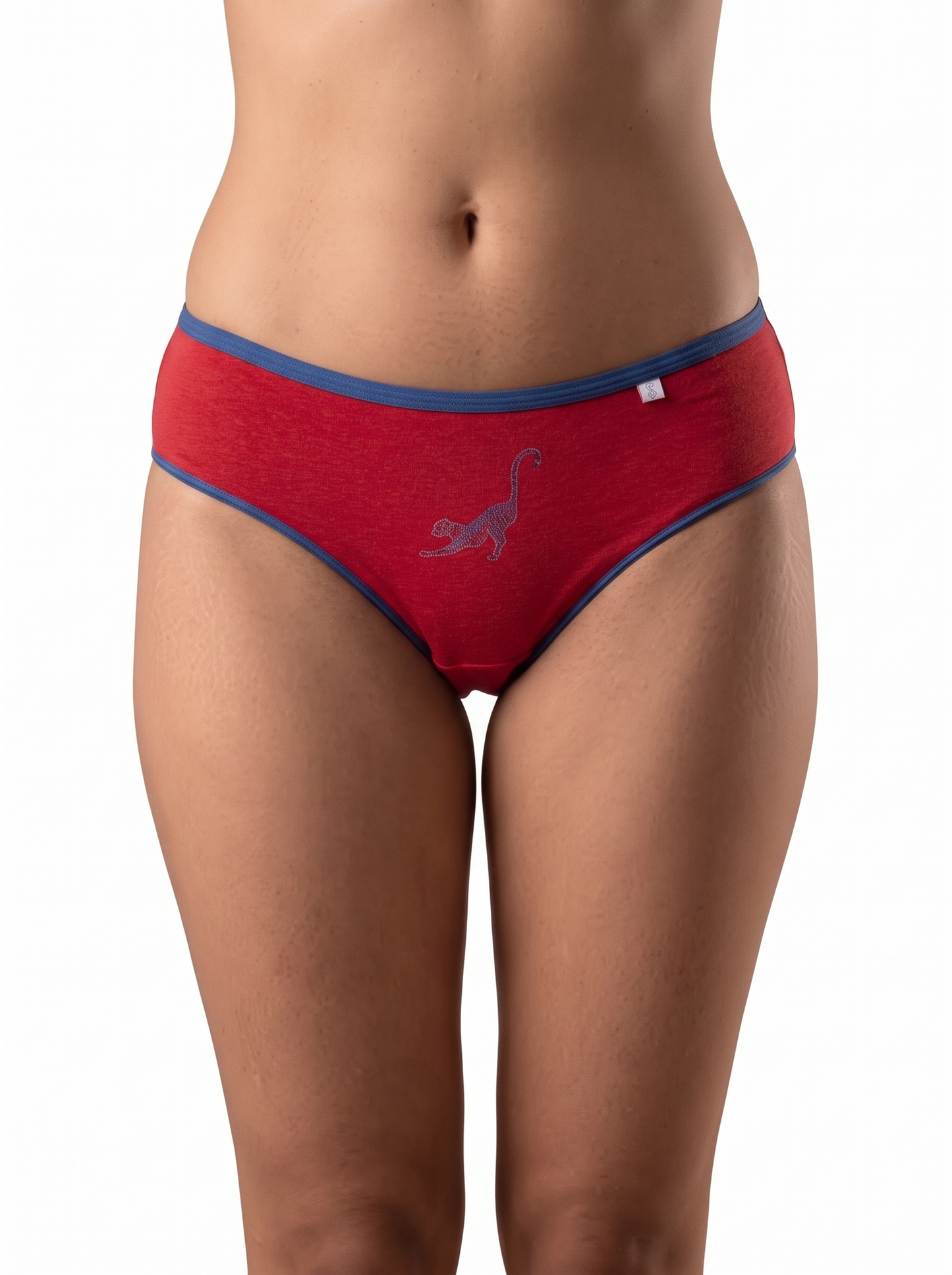 Inner Sense Women Bamboo Medium-Rise Pack of 3 Bikini Briefs-ISP040-3Pointsetia